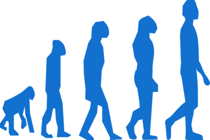 evolution-296400_960_720